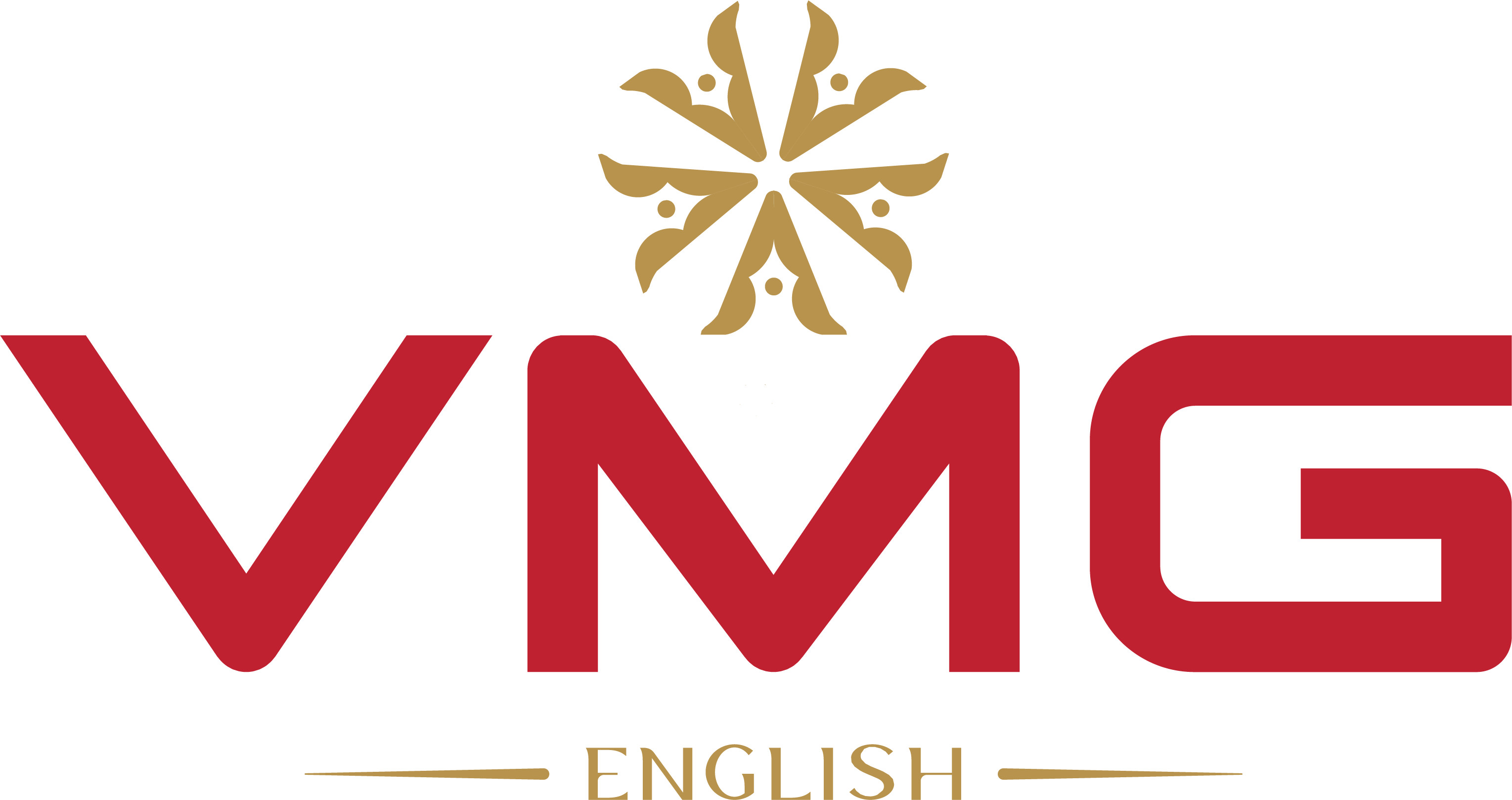 Công ty TNHH MTV Giáo dục Việt Mỹ