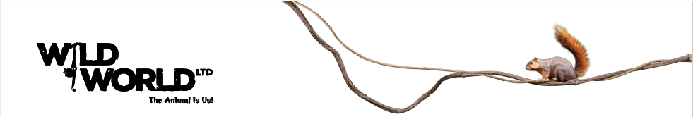 Công ty TNHH Thế Giới Hoang Dã