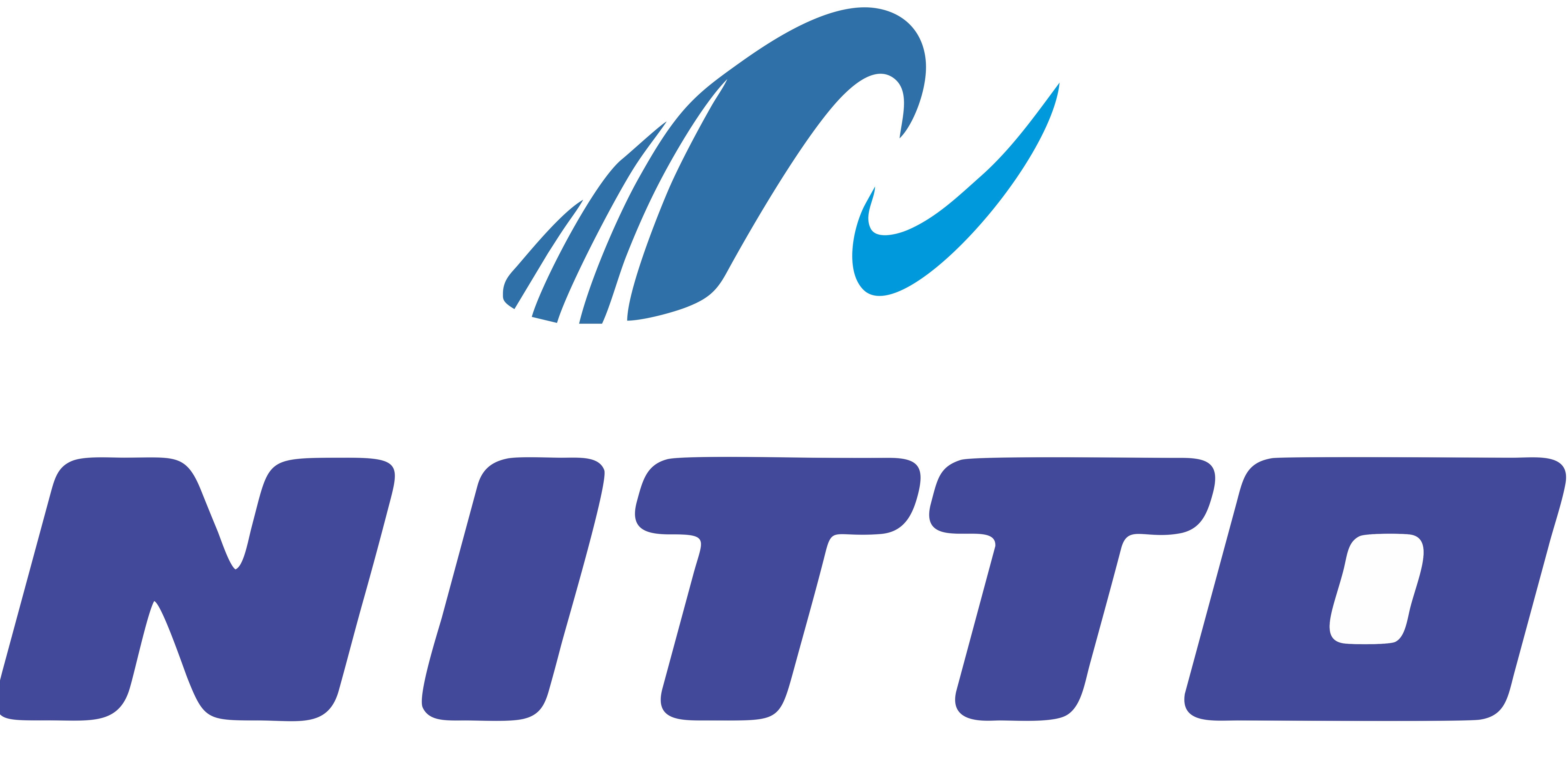 CÔNG TY TNHH NITTO DENSEN KOGYO VIET NAM