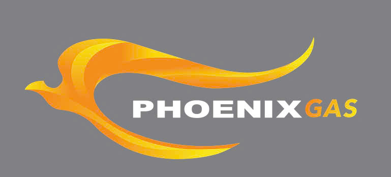 CHI NHÁNH CÔNG TY TNHH GAS PHOENIX (VIỆT NAM) TẠI GÒ DẦU