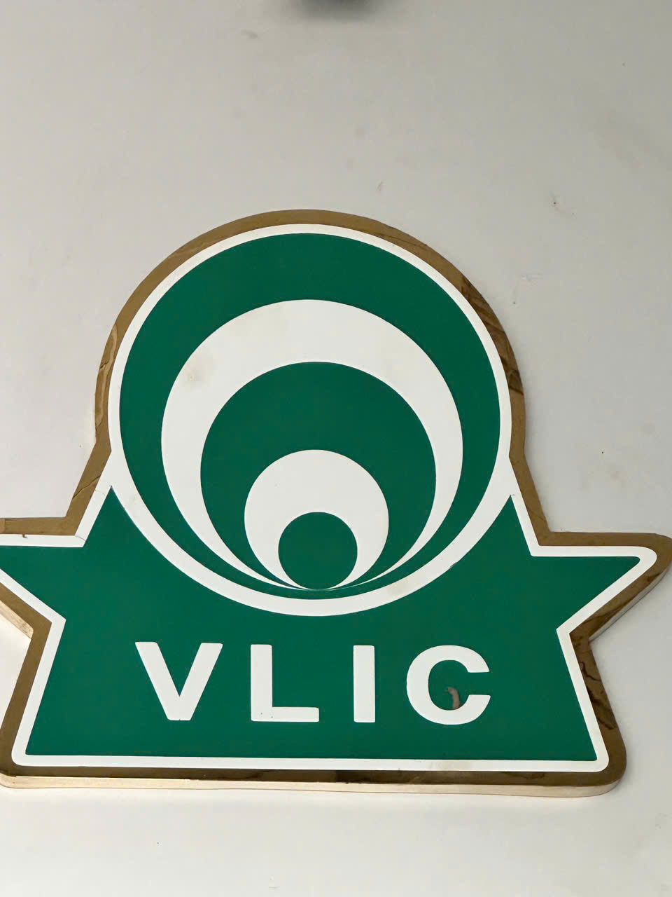 Công Ty TNHH Quốc Tế Luân Thịnh Việt Nam