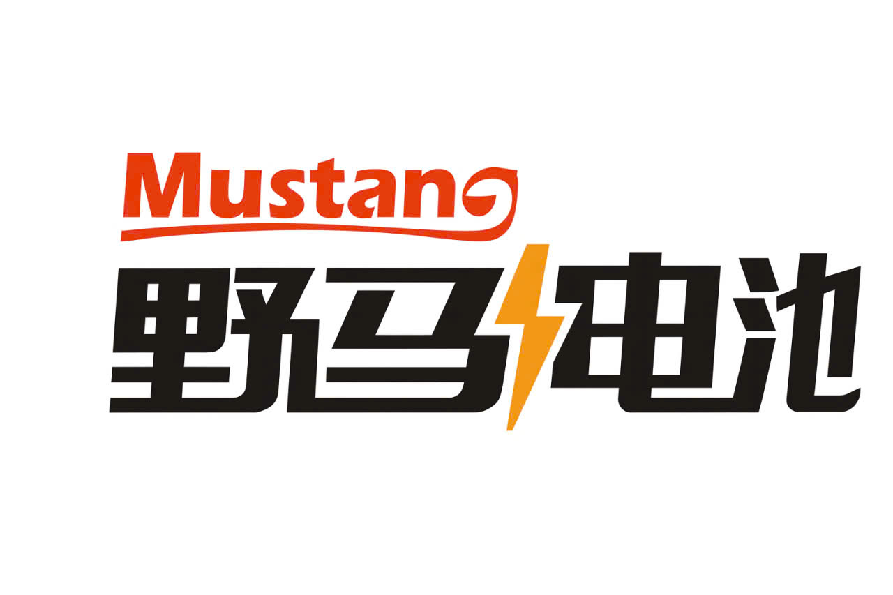 CÔNG TY TNHH MUSTANG BATTERY