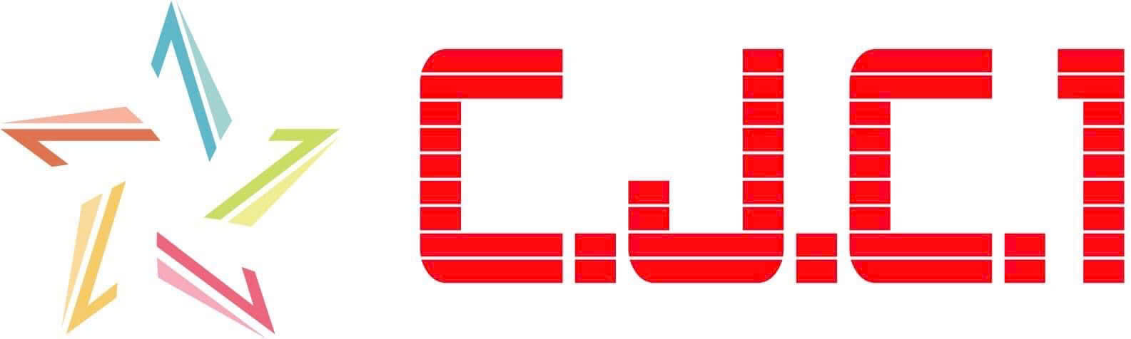 CÔNG TY CỔ PHẦN TƯ VẤN TỔNG HỢP SỐ 1