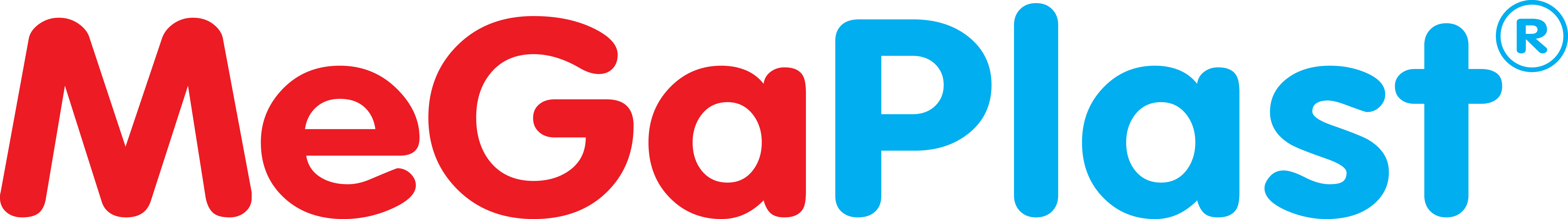 CÔNG TY CỔ PHẦN MEGA PLAST PACKAGING