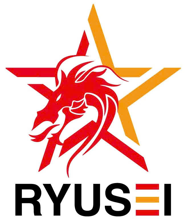 CÔNG TY TNHH RYUSEI VIỆT NAM